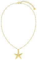 Collier en acier inoxydable doré – 40 + 5 cm, référence Robbez-Masson 432716